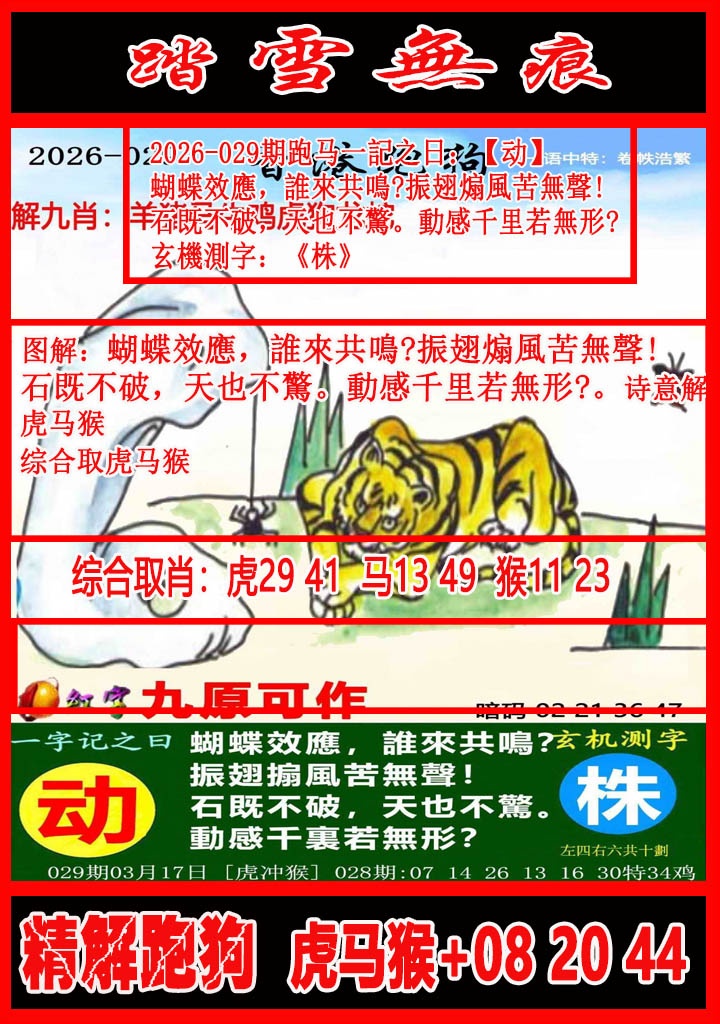 029期踏雪无痕解跑狗[图]